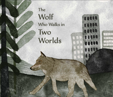 A watercolor illustration of a wolf walking between a forest and a city